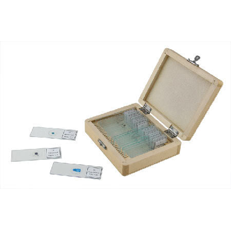 25 PIECE PREPARED MICROSCOPE SLIDE KIT